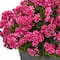 2.7ft. UV Resistant Pink Artificial Geranium in Slate Planter